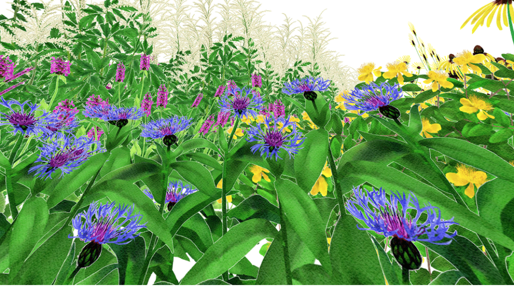 Pollinator Pathmaker LAS-Edition – Artwork Earth